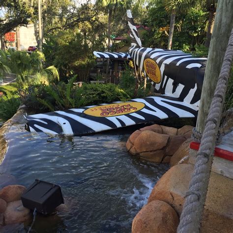congo river golf clearwater